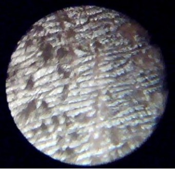 Оптический микроскоп «Натуралист» 60x предназначен для любопытных, п. . фото 8