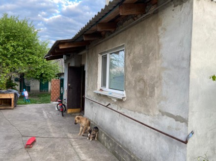 Продається половина будинку з окремим огородженим подвір'ям в смт Попільня . Попельня. фото 8