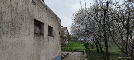 Продам свой дом в селе Елизаветовка, 30 км от г.Одесса (Киевская трасса). Село р. . фото 3