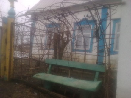 Будинок в с.Копилів, будинок,75кв.м. 47 сот.землі за 0,5 BTC. Киев. фото 1 Будинок в с.Копилів, будинок,75кв.м. 47 сот.землі за 0,5 BTC. Киев. фото 1