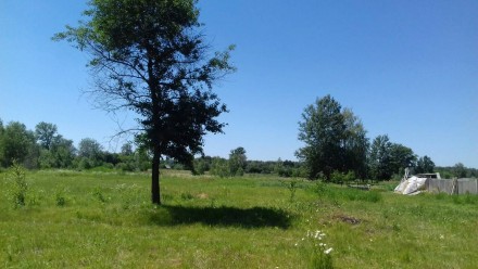 Продам земельну ділянку в с. Нижня Сироватка Сумського району. Суми. фото 1 Продам земельну ділянку в с. Нижня Сироватка Сумського району. Суми. фото 1