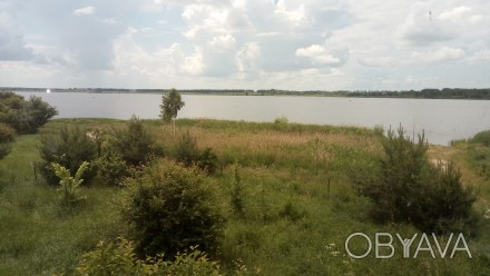 Продаєтся земельна ділянка в дачному кооперативі Рибаче.