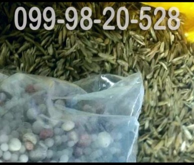 Газон Удобренный -это  800грамм семян газонной травы и 200 грамм вкусняшек-подко. . фото 3