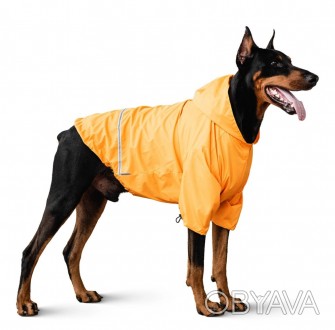 Куртка-дождевик Moss из водоотталкивающего полиэстера отлично защищает вашу соба. . фото 1