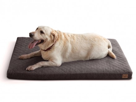 Матрас для собак Noble Pet Nolan Тёмно-серый 100 х 80 х 8 см (N2129/100). Киев. фото 1 Матрас для собак Noble Pet Nolan Тёмно-серый 100 х 80 х 8 см (N2129/100). Киев. фото 1
