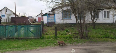 продам полдома с земельным участком. Тростянець. фото 1 продам полдома с земельным участком. Тростянець. фото 1