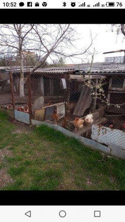 Цікава пропозиція продається 2-х кім.кв. з ділянкою. Ужгород. фото 1 Цікава пропозиція продається 2-х кім.кв. з ділянкою. Ужгород. фото 1