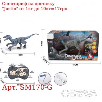 Динозавр SM170-G р/у2,4G, аккум, 45см, звук, свет, ходит, USBзарядное, в кор-ке,. . фото 1