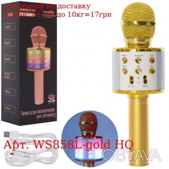 Микрофон WS858L-gold HQ 23см, аккум, свет, Bluetooth, TFслот, USBвх, USBшнур, в . . фото 1