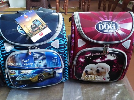 Предлагаю вам абсолютно новые рюкзаки для школьников младших классов, остался од. . фото 3