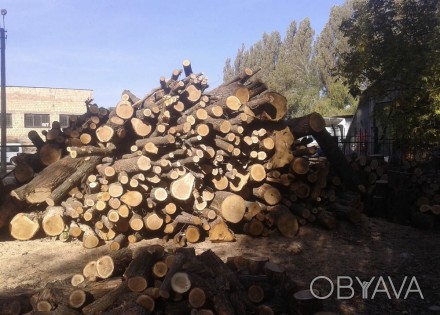 Продам дрова дуб 1 куб 400 грн
