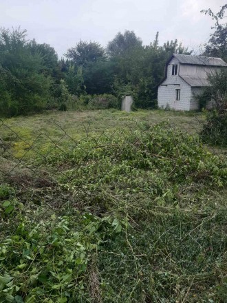 Продам дачу в Обуховке, рядом лес, река. Днепр. фото 1 Продам дачу в Обуховке, рядом лес, река. Днепр. фото 1
