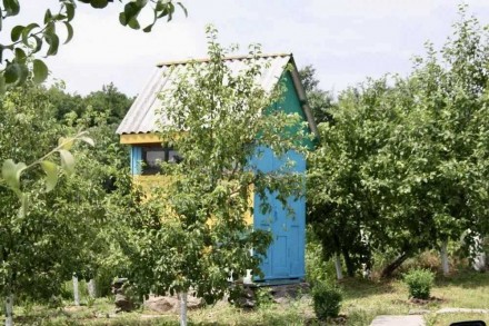 Продається дача  з великим яблуневим садом та будиночком апітерапії в Вінницькій. . фото 10
