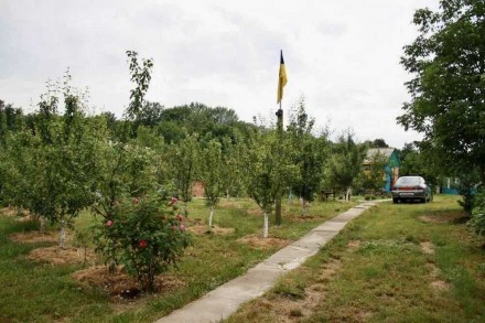 Продається дача  з великим яблуневим садом та будиночком апітерапії в Вінницькій. . фото 7