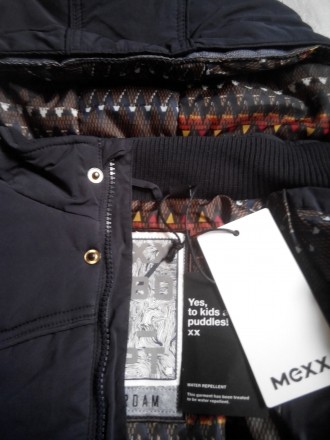 Куртка детская для мальчика MEXX, приталенного силуэта, застежка на молнию, ветр. . фото 3