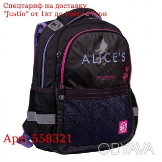 Рюкзак YES S-53 "Alice", черный Ergo 
 
 Отправка данного товара производиться о. . фото 1