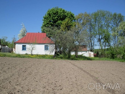 Продаж будинка у Таращі