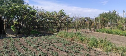Продам дачу с домом. Бердянск. фото 1 Продам дачу с домом. Бердянск. фото 1