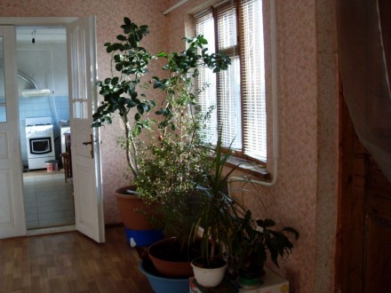 Продам дом в Роксоланах, 300 м до Днестровского лимана. 9 км до Овидиополя,7 км . . фото 3