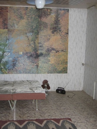 Продам дом в Роксоланах, 300 м до Днестровского лимана. 9 км до Овидиополя,7 км . . фото 8