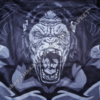 Купить Rashguard + леггинсы для детей. Рашгард с длинным рукавом Gorilla Cody Lu. . фото 8