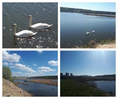 Києві, МЕТРО "АКАДЕММІСТЕЧКО" Біличі - Унікальна пропозиція 8 або 16 соток. 
- . . фото 11