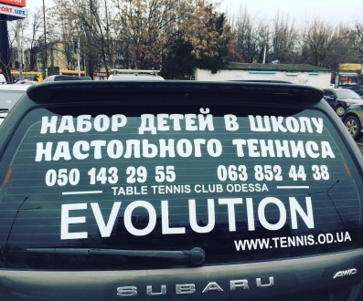 Клуб настільного тенісу Evolution проводить набір на навчання дівчаток та хлопчи. . фото 3