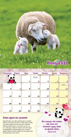 Детский календарь "Учимся дружить" перекидной на 2022 год на русском языке 
14 л. . фото 8