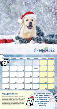 Детский календарь "Учимся дружить" перекидной на 2022 год на русском языке 
14 л. . фото 4