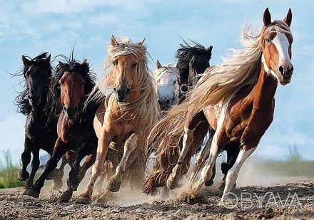 Пазлы Скачущие лошади от польского производителя Trefl Яркие и красочные пазлы С. . фото 1