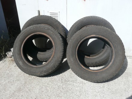 Barum Polaris 5, зимние БУ шины. Киев. фото 1 Barum Polaris 5, зимние БУ шины. Киев. фото 1