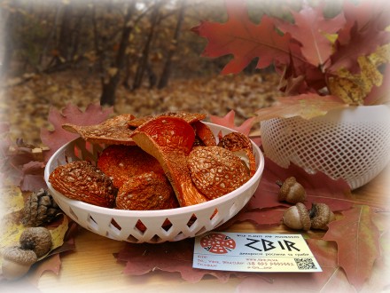 Мухомор ЧЕРВОНИЙ (Amanita Muscaria), сушені шляпки, сезон 2025. Новые Санжары. фото 1