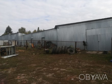 Продается База, 50соток с постройками, в пгт. Покотиловка