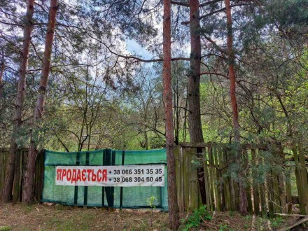 Продается участок 25 соток в лесной зоне в Старых Безрадичах(с.Тарасовка, ул.Пуш. . фото 8