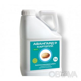АВАНГАРД Р КАРТОФЕЛЬ