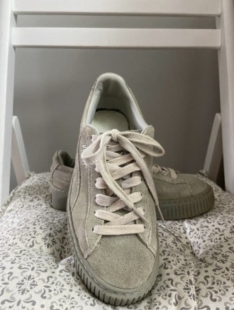 Puma basket,кросівки,кроссовки. Борислав. фото 1 Puma basket,кросівки,кроссовки. Борислав. фото 1