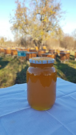 В наличии имеется 3 вида мёда 2021 года откачки:
-Акация
-Горное разнотравье
. . фото 5