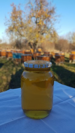 В наличии имеется 3 вида мёда 2021 года откачки:
-Акация
-Горное разнотравье
. . фото 3