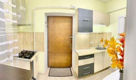 Продам СВОЮ 1к квартиру в ЦЕНТРЕ с новым ремонтом. Малиновский. фото 6 Продам 1 комнатную квартиру на ул. Степовая/Прохоровская, с новым ремонтом в 5 м. Малиновский. фото 6