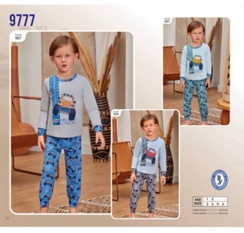 Пижама для мальчика Арт 9777-167
Цвет: 167 серый с синим
Состав: 95% хлопок 5% э. . фото 3