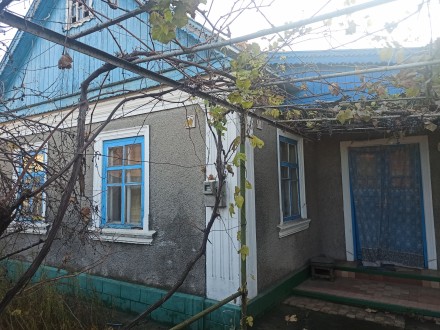 Продам дом под ремонт. Голая Пристань. фото 1 Продам дом под ремонт. Голая Пристань. фото 1