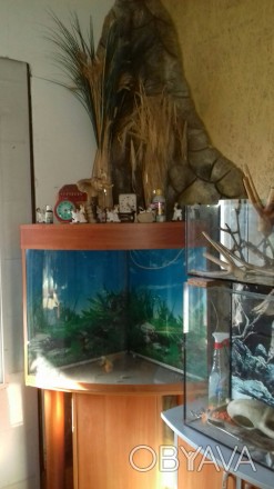 Продам угловой аквариум (аквариум, крышку, тумба) тел. 0980874012. . фото 1