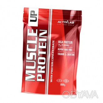 " Muscle Up Protein ActivLab сывороточный протеин на основе концентрата белка. Р. . фото 1