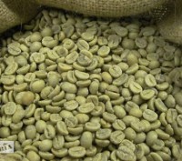 Зеленый кофе в зернах Arabica India Cherry AA (Арабіка Індія Черрі АА). Днепр. фото 1 Зеленый кофе в зернах Arabica India Cherry AA (Арабіка Індія Черрі АА). Днепр. фото 1