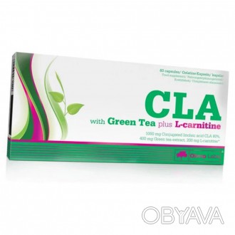 Мощный жиросжигатель для быстрого снижения веса OLIMP CLA with Green Tea plus L-