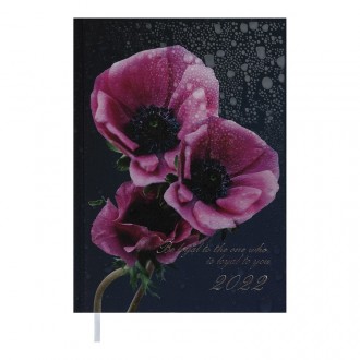 Щоденник датов. 2022 POSH, A5, фіолетовий (BM.2118-07). Дніпро. фото 1 Щоденник датов. 2022 POSH, A5, фіолетовий (BM.2118-07). Дніпро. фото 1