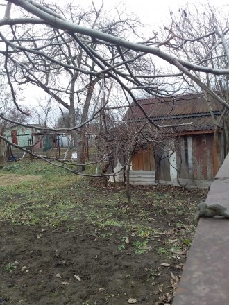 Продаємо дачу на вул.Львівській. Луцк. фото 1 Продаємо дачу на вул.Львівській. Луцк. фото 1