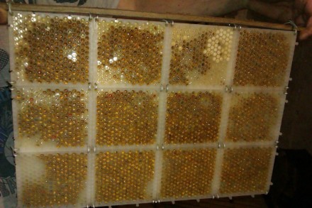 Больше товаров для пчеловодства смотрите на сайте www.uleyshop.com/
Сота-пазл дл. . фото 3
