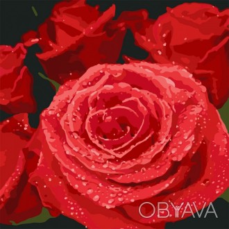 Набор для росписи картины по номерам "Красные розы", упаковка - п/э пленка. В ко. . фото 1