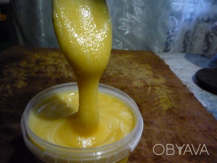 Продам мед, полностью натуральный со своей пасеки, без каких либо химикатов и са. . фото 1